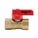 Watts GBV 3/8 Valve for Plumbing