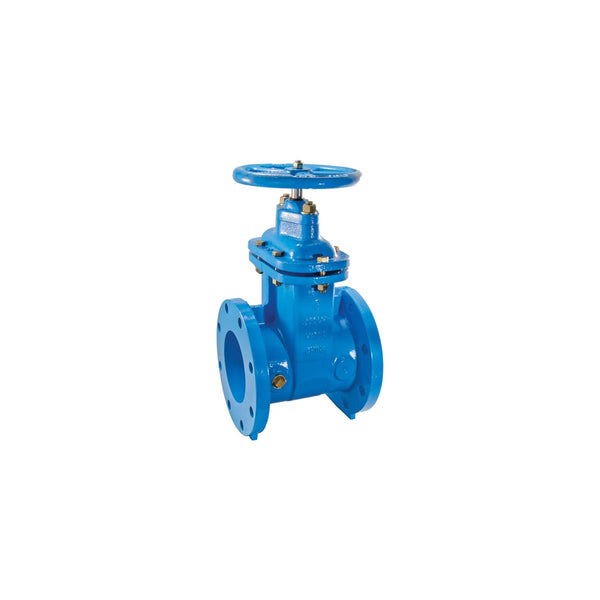 Watts 405-RW 2 Valve - Plumbing Equipment