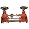 Watts 757DCDA-OSY-GPM 2 1/2 Blackflow preventer