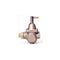 Watts 1156F-STD (W/PRESS) 1/2 Pressure Regulator