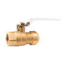 Watts 1/2 WQCFIP Valve for Plumbing