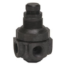 Watts P60M1-0-125 1/4 Pressure Regulator for Plumbing