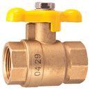 Watts FBV-4-TH 3/4 Valve for Plumbing