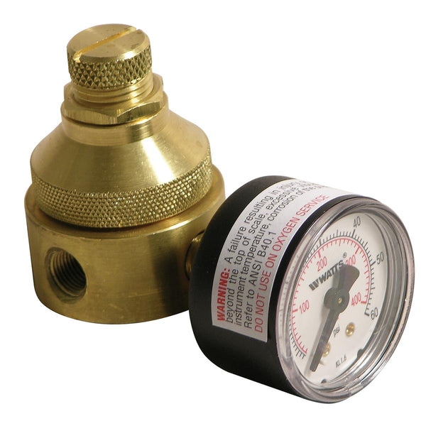 Watts LF560G-0-125 1/4 Pressure Regulator for Plumbing