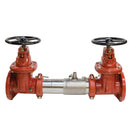 Watts 757-DNRS 3 Blackflow preventer