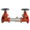 Watts 757-DNRS 4 Blackflow preventer