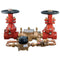 Watts 007M1DCDA-OSY-CFM 2 Blackflow preventer for Plumbing