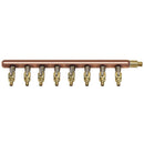 Watts LFWPCM2-M10-08B Manifold - Plumbing Equipment