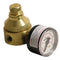 Watts LF560-G 0-25 1/4 Pressure Regulator for Plumbing