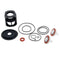 Watts SS009-RT 1 1 B-Flow Complete Rubber Repair Kit, Ss009