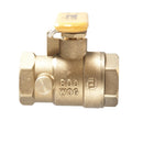 Watts LFIT6300 1 Valve for Plumbing