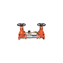 Watts LF757DCDA-OSYXPIV-GPM 4 Blackflow preventer