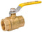 B&K 3/4 IPS Ball Valve