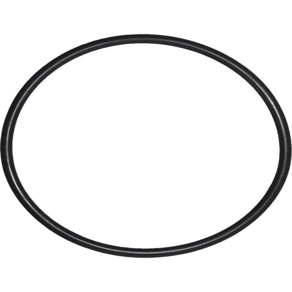 W10.OR O Ring for HD10 Filter