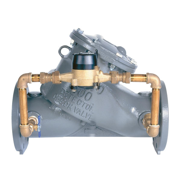 FEBCO 800-GPM-BADGER 6 Valve - Plumbing Equipment