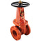 FEBCO OSY-GV 10 Valve - Plumbing Equipment