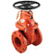 FEBCO NRS-GV 2 1/2 Valve - Plumbing Equipment