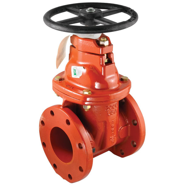 FEBCO NRS-GV 4 Valve - Plumbing Equipment