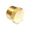 Lead Free 1" Plug Brass