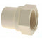 3/4" CPVC Female Adapter