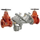 FEBCO 4 LF860-DOSY-FP Blackflow Preventer