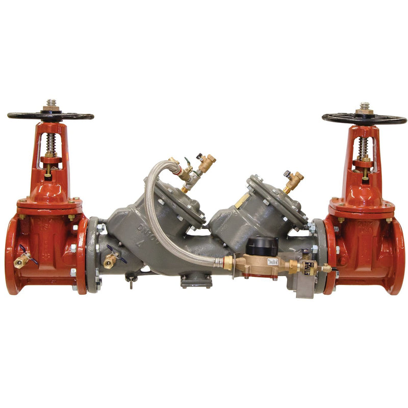 FEBCO LF856DCDA-DOSY-CFM 6 Blackflow preventer