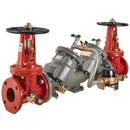 FEBCO 856STDCDA-LG-GPM 3 Blackflow preventer