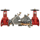 FEBCO LF856DCDA-DOSY-GPM 8 Blackflow preventer