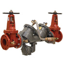 FEBCO LF866-DOSY-GPM 6 Blackflow Preventer