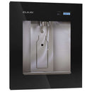 Elkay LBWD06BKK ezH2O Liv Built-in Filtered Water Dispenser,