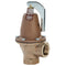 Watts 174-Z3-T 150 Valve