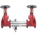 Watts 994RPDA-DOSY-CFM 3 Blackflow Preventer