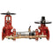 Watts 757DCDA-PIVXOSY-CFM 8 Blackflow Preventer