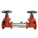 Watts 757N-DOSY 4 Blackflow Preventer