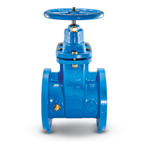 Watts NRS-RW-GATE-TC 10 Valve