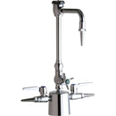 Chicago Faucets Laboratory Fitting 1301-GN2BVBE7-909C