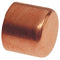 2" Copper Tube Cap