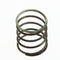 Spartan Tool Valve Spring (Giant P221) 71705940